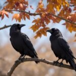 How Do Animals Communicate with Each Other?