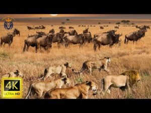 Comprehensive Guide to Planning Family-Friendly Wildlife Tours in 2025