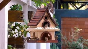 Building a Beginner-Friendly Birdhouse