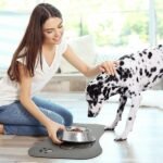 Comprehensive Guide to Choosing the Best Organic Dog Food for Small Breeds