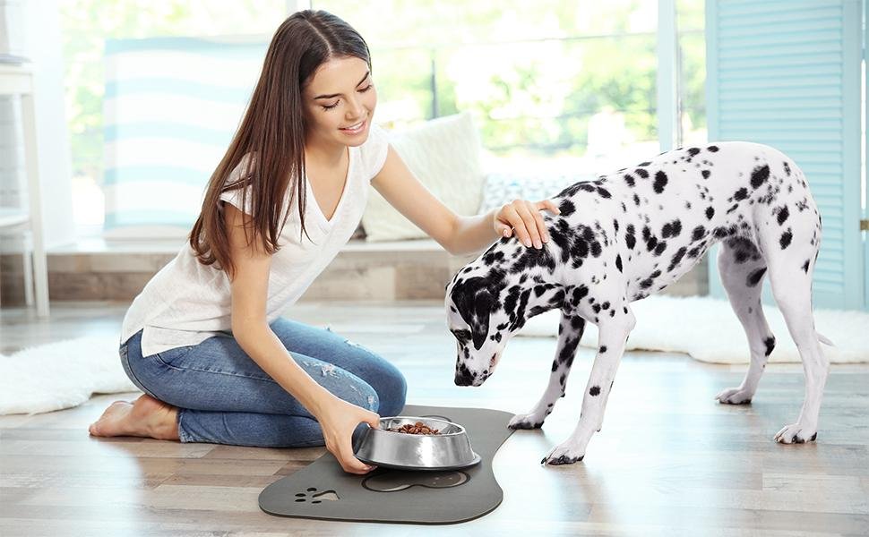 Comprehensive Guide to Choosing the Best Organic Dog Food for Small Breeds