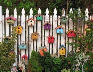 Comprehensive Guide to Eco-Friendly Birdhouses for Wild Birds in 2025