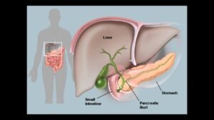 A Comprehensive Guide to Resolving Health Issues in Aquatic Animals