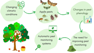 Comprehensive Guide to Identifying Common Household Insects