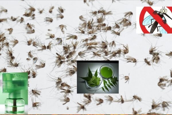 Comprehensive Guide to Natural Ways to Repel Mosquitoes from Your Backyard in 2025