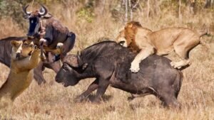 Breaking Down the Problem into Smaller Components