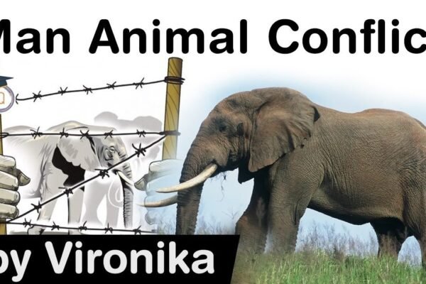 Comprehensive Guide to Resolving Wild Animal Conflicts