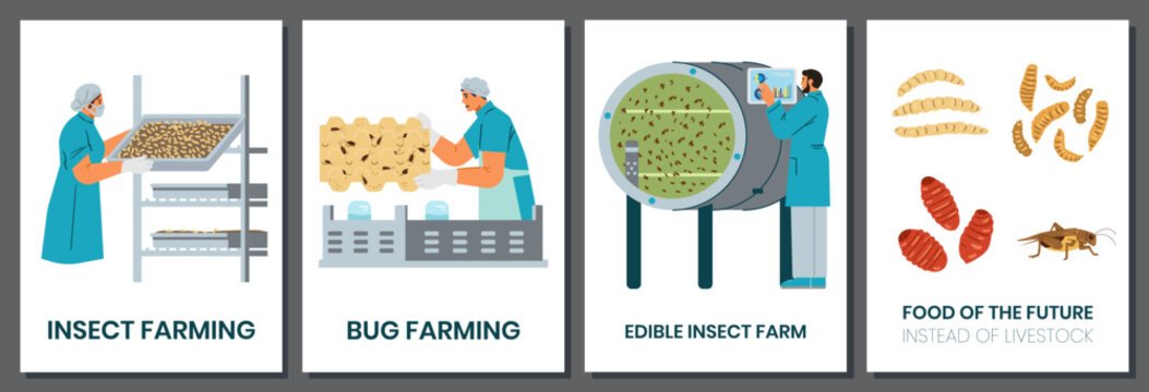 Breaking Down the Problem Insect Farming Equipment Challenges