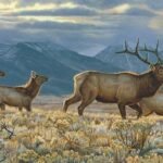 Sustainable Wildlife Posters for Online Art Stores