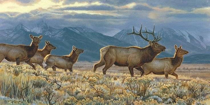 Sustainable Wildlife Posters for Online Art Stores