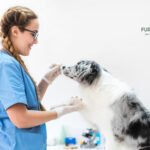 How to Care for a Pet Bird