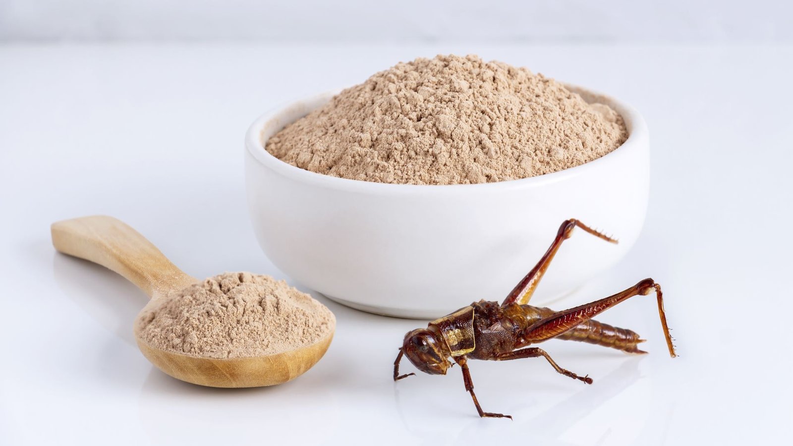 Insect-Based Protein for Pet Food Brands