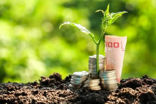 How to Start a Sustainable Aquaculture Business