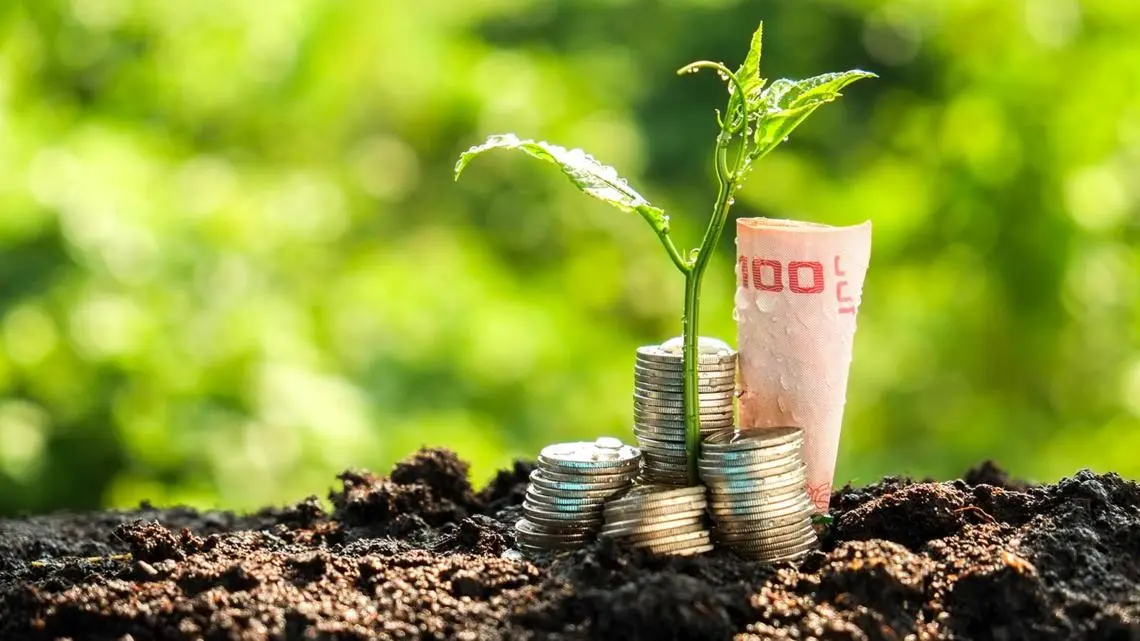 How to Start a Sustainable Aquaculture Business