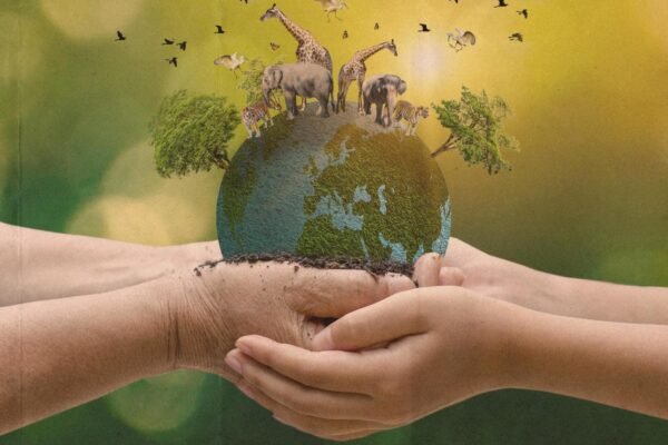 Protecting Wild Animals in the Rainforest: A Solution-Based Guide for Biodiversity Conservation