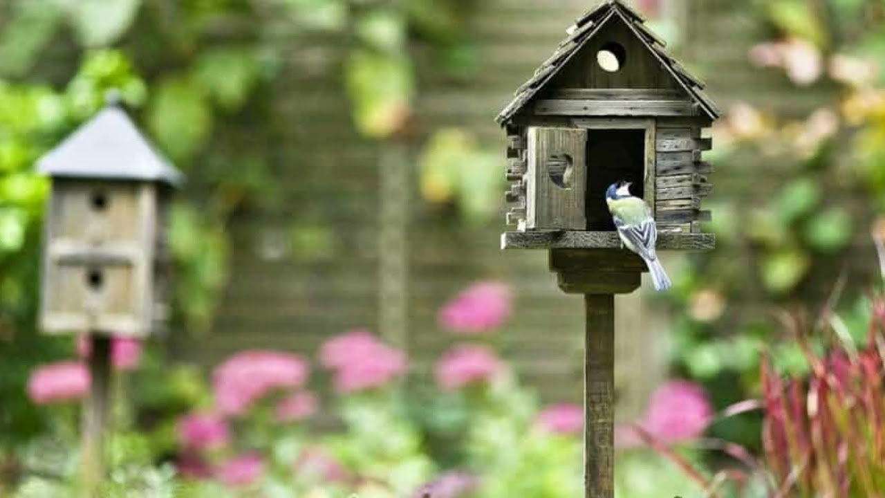 of Building a DIY Birdhouse Components