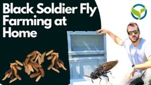 Plan and Set Up Equipment Properly