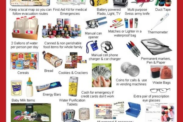 Comprehensive Solution-Based Guide: Emergency Wildlife Removal Services