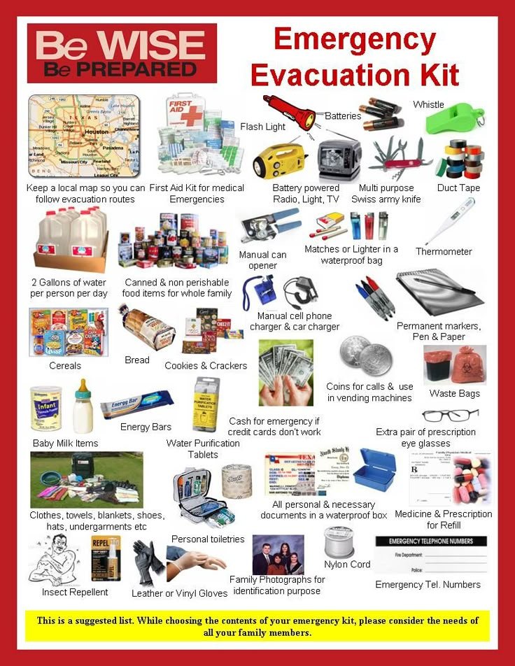 Comprehensive Solution-Based Guide: Emergency Wildlife Removal Services