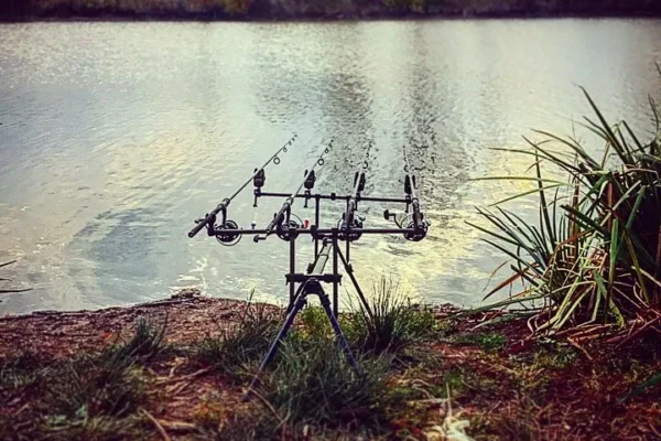 How to Find Bird Watching Spots Near You