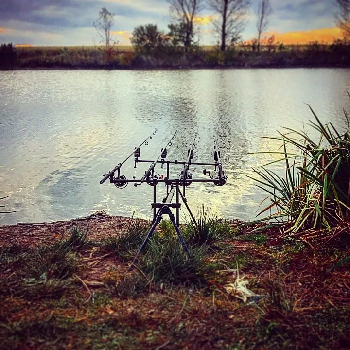 How to Find Bird Watching Spots Near You