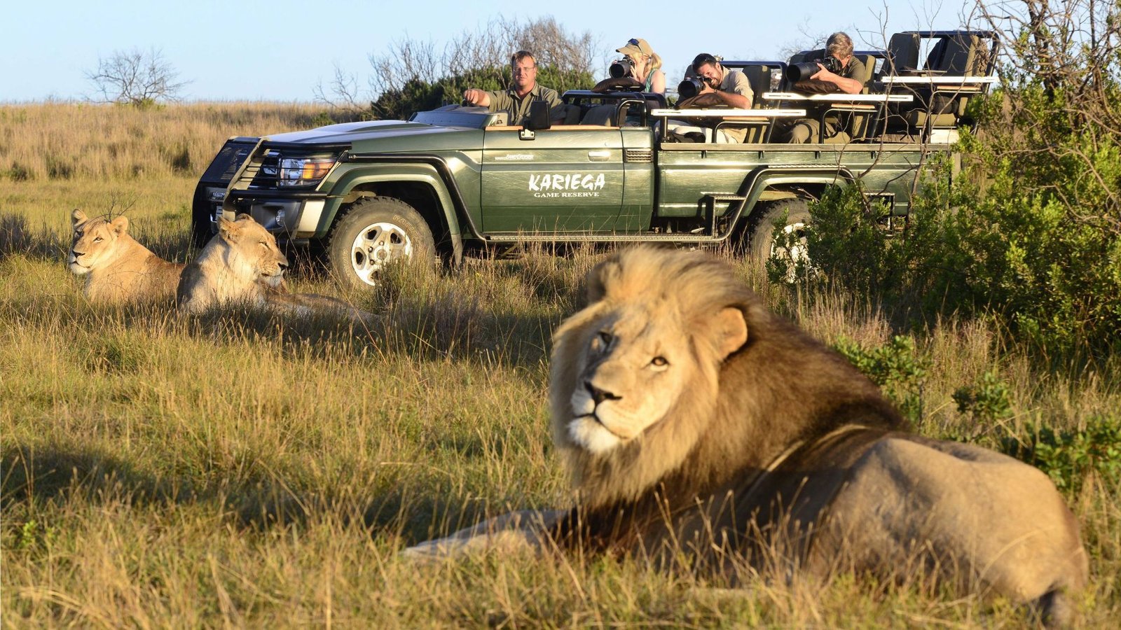 Safari Tours for Lion and Leopard Sightings (2025)