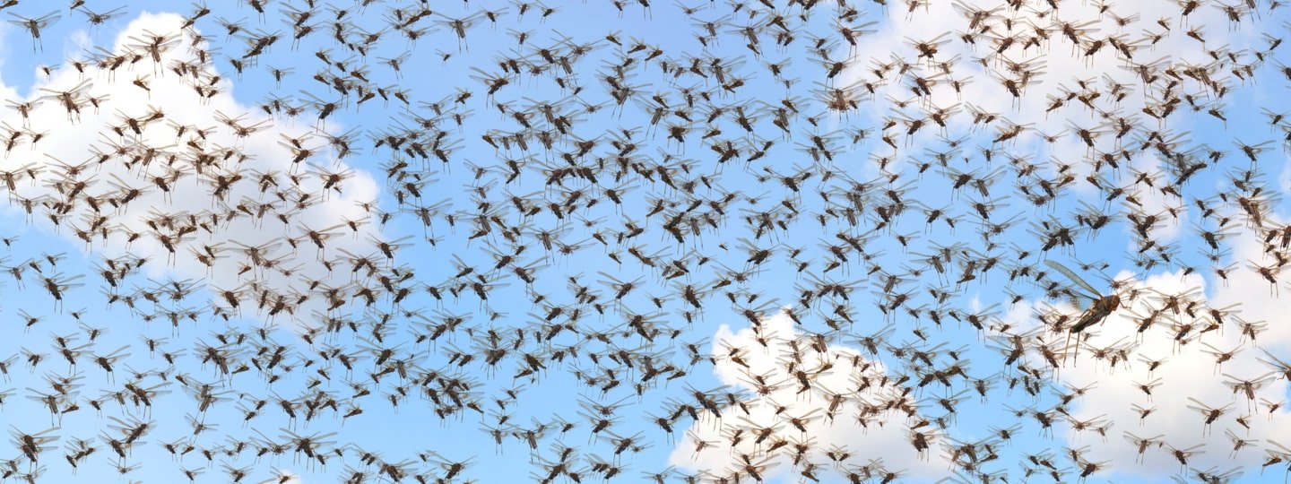 A Solution-Based Approach